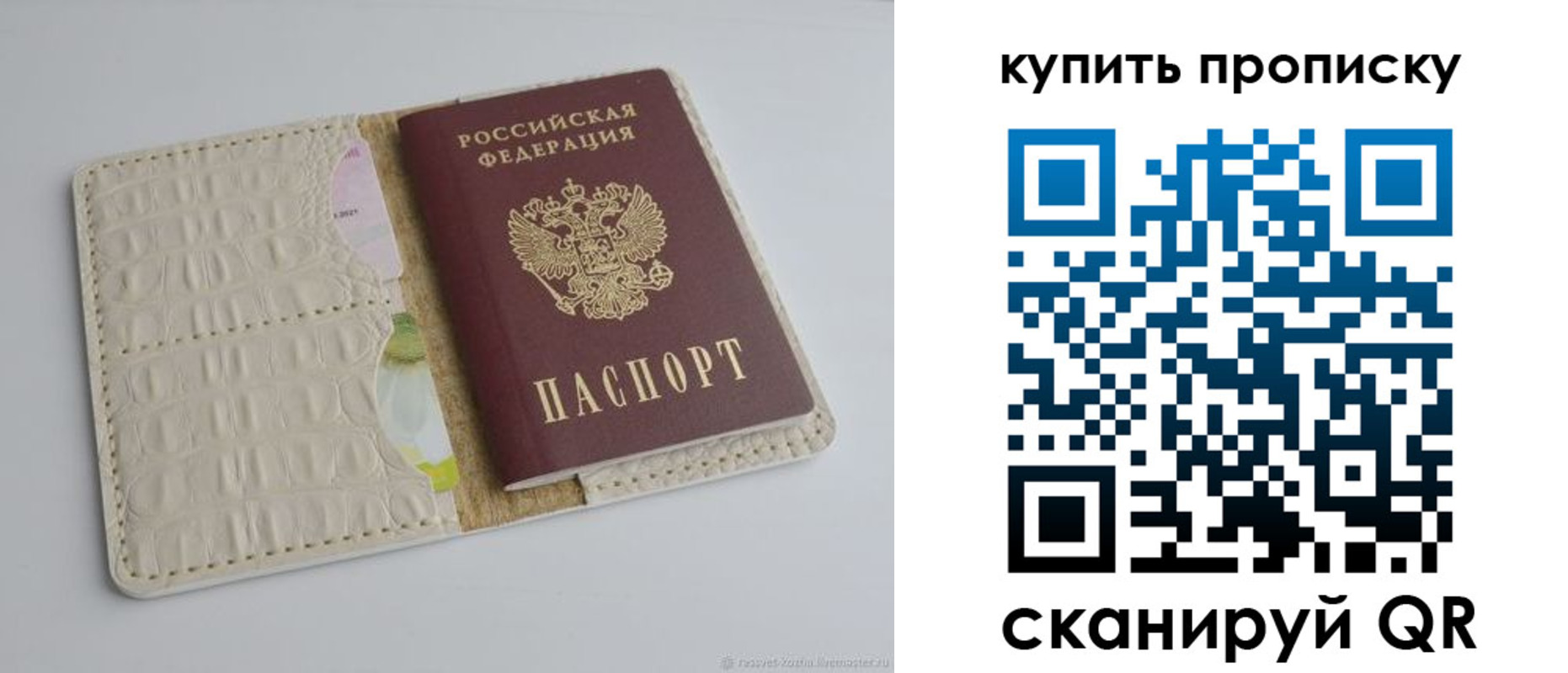 временная регистрация гарантия в Куровском